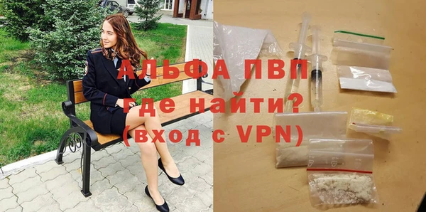 spice Арсеньев