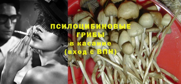 spice Арсеньев