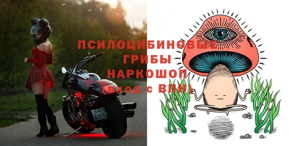 прущий лед Аркадак