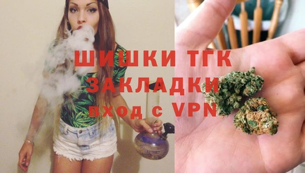 spice Арсеньев