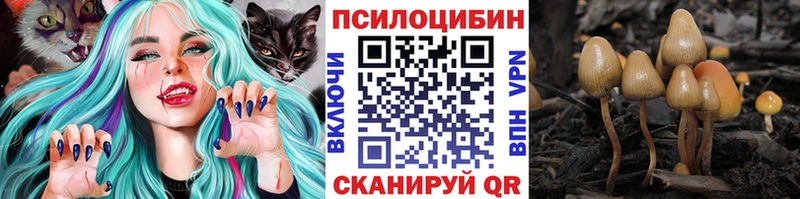 Галлюциногенные грибы ЛСД Павловский Посад