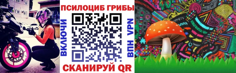 Галлюциногенные грибы MAGIC MUSHROOMS  Купить закладки  Павловский Посад 
